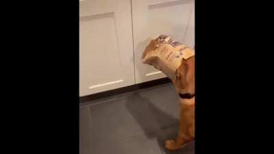 Caught red-handed sneaking a snack