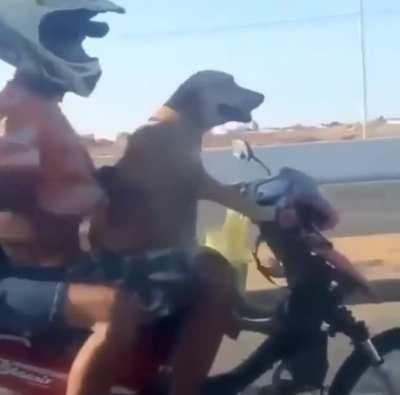 Hello, fellow driver