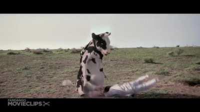 Utterly ridiculous Kung Foo battle