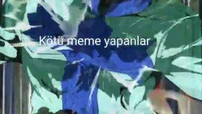 r/burdurlandin modlarla imtihanı ama its JoJo reference