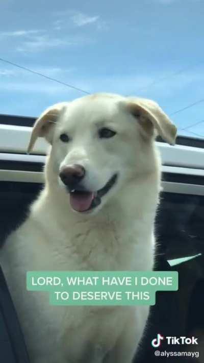 There's two of you!! AAHH-