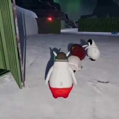 Penguins Being Penguins