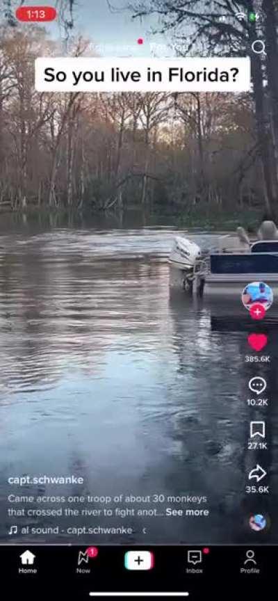 I am just now finding out monkeys are in Florida lmao.