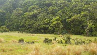 McKellar Hut, New Zealand