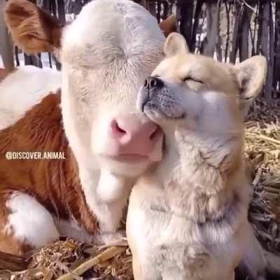 so cute and lovely relation
