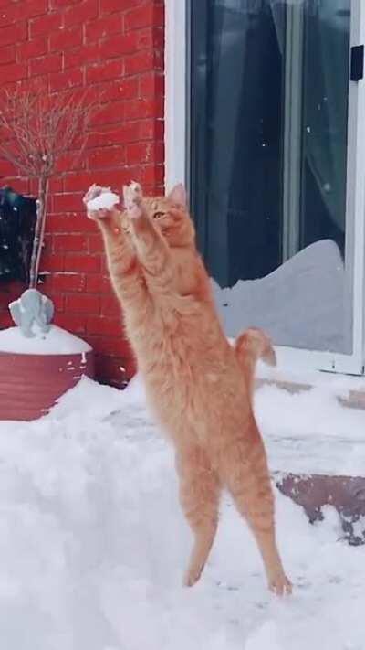 Why have you forsaken me?!?!