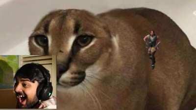 Libron Jackson doesn't like it