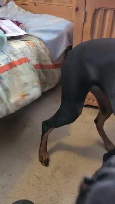 Monster under my bed.