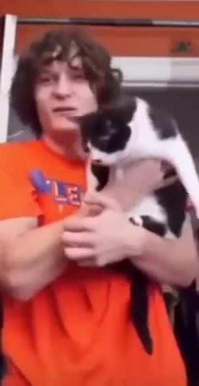 So how many cat can hold me?