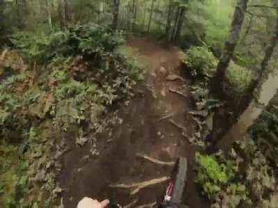 Some Vancouver Island trail POV goodness