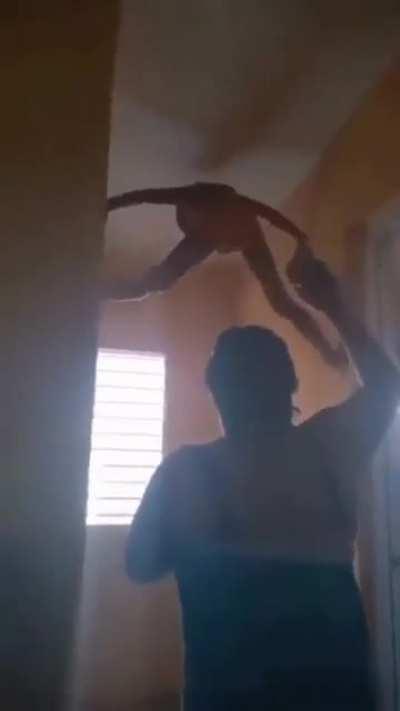 Homem-Aranha esqueci de limpar a casa