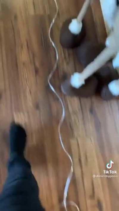 It’s funny but feels wrong to do this to grandma man 😂