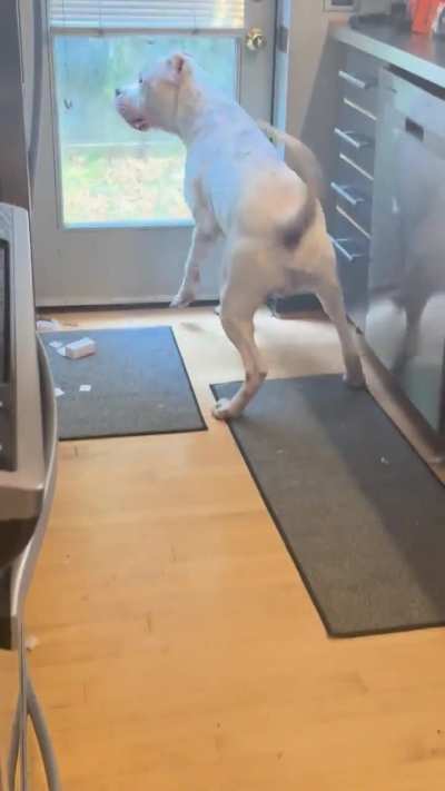 He sees his girlfriend outside