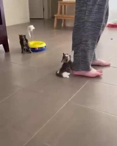 Noo!!!, don't leave me.