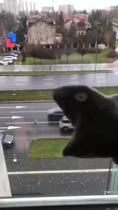 SicK fUck eAts ONcomiNG tRaFFic