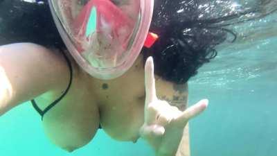 Channeling my inner David Attenborough [f]