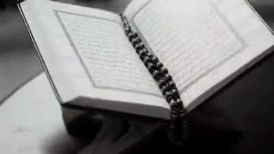 wordington - Video #2620