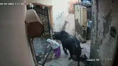 Never Wize To Poke A Bull