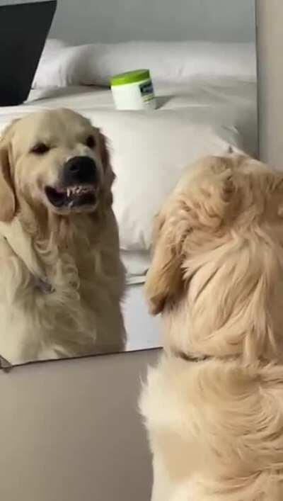 Practicing angry faces