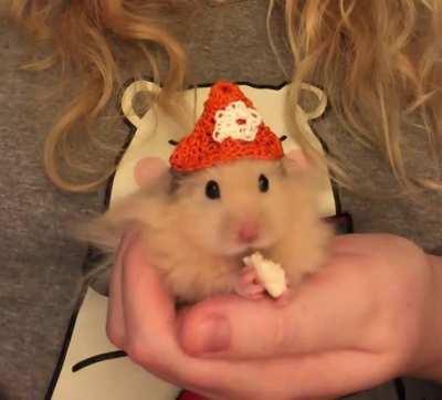 Pancake enjoys a Puff in his favorite hat 🥺
