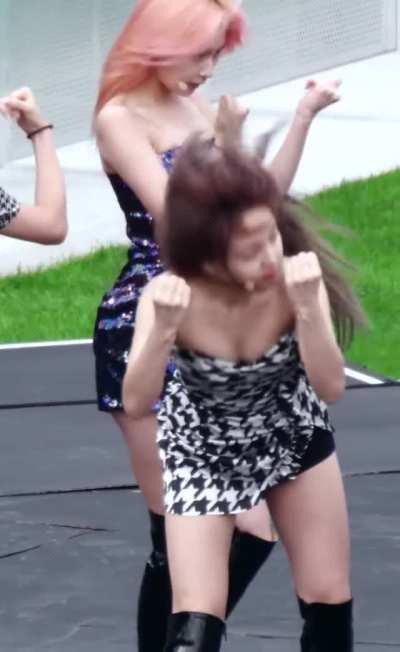 A bunny & a shiba walls into a stage...