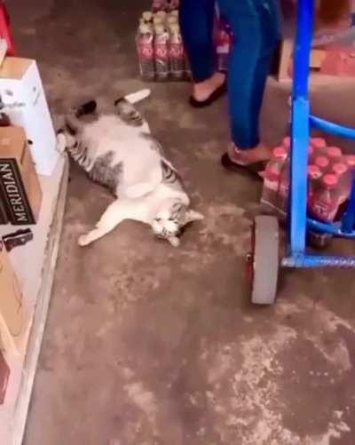 I’m going to need you to cover my shift…