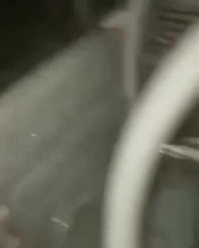 a mild amount of tomfoolery