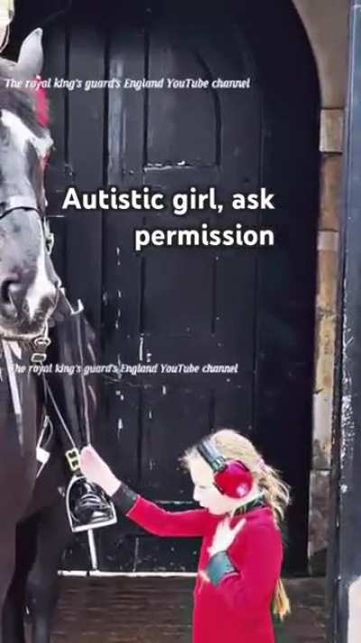 This autistic girl asks the Royal Guard for permission to pet his horse - an unforgettable experience for her and a kind gesture from him.