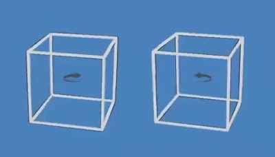 Mind bending Illusion