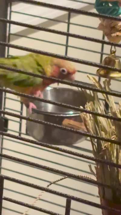 Literally just changed the water…