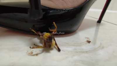 One of My Cruelest Execution