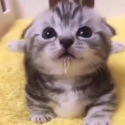 She Just Finished Her Milk And She Wants More