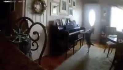 this incredible singer is also a very talented pianist