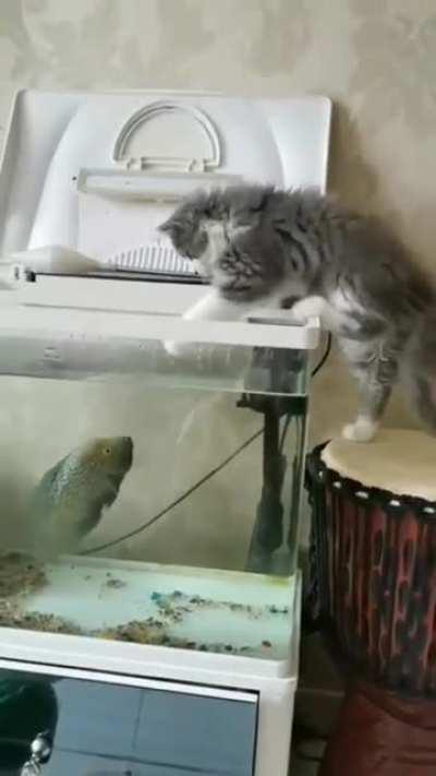 She hasn't expected that .. 😅❤️