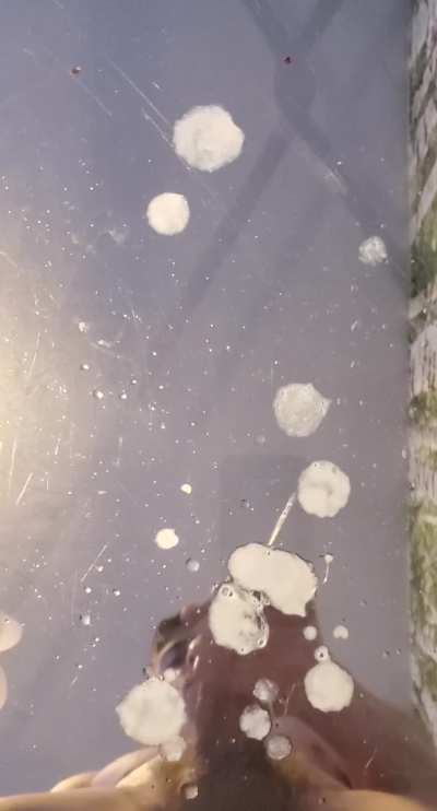 Couldn’t take it any more