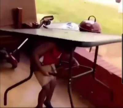 Taken down by my own guard!