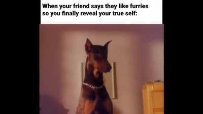 Dogg_irl