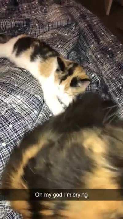 The way she looks at her so innocently 🥲😂