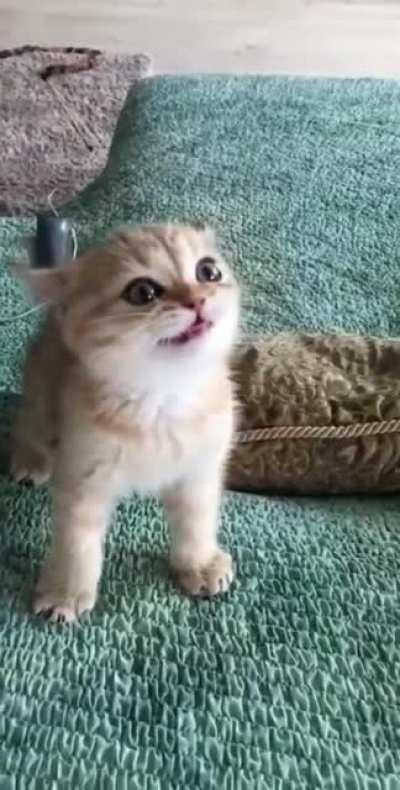 Just wait til I get older :)