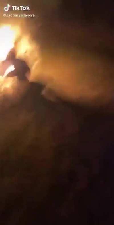 HMB while I Find My Spirit Animal...