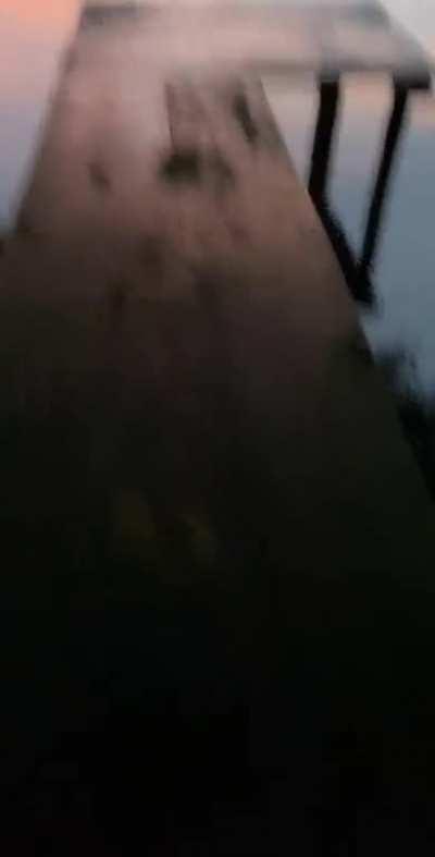 I found an old dock near my house