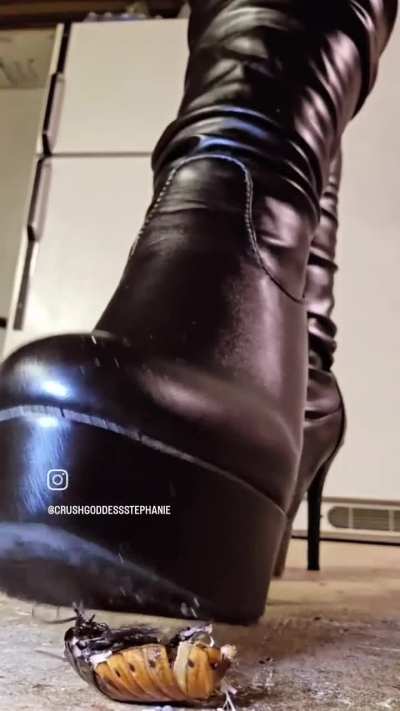 Full 11 min video for sale 😘