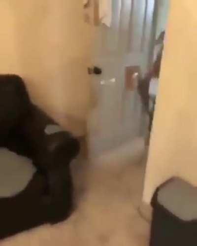 Yeah go will fight you