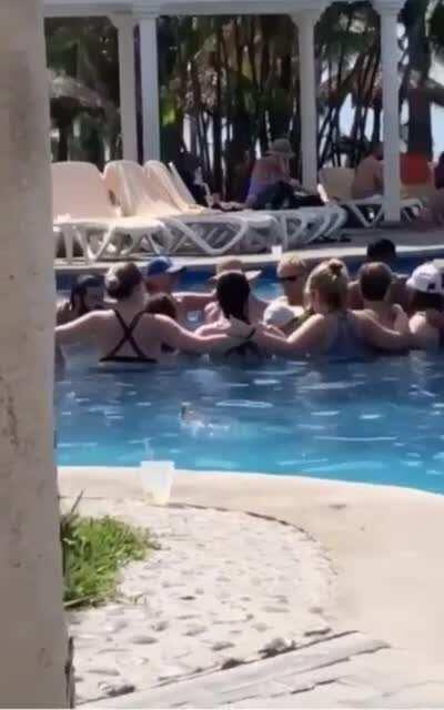 Wild iguana, enforcing social distancing rules