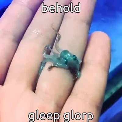 its my pet alien, gleep glorp.
