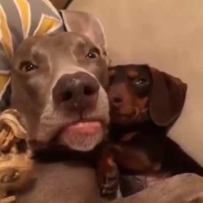 Waking up after a drunk hookup