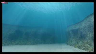 Some have the time of day, not myself.