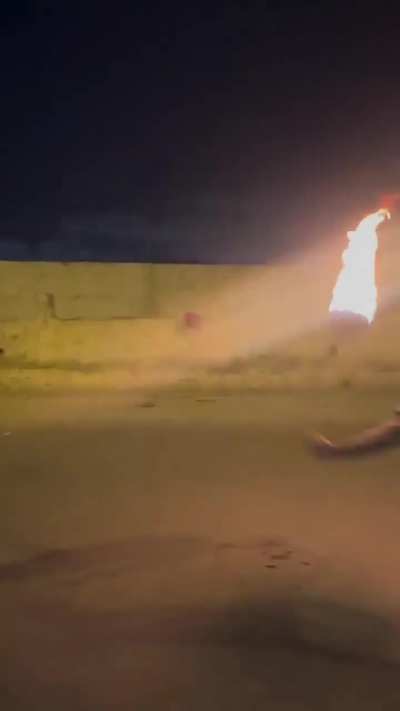 Darwin awards go to..