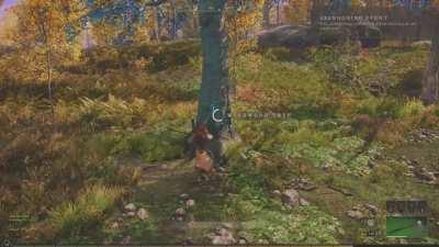 When the unbelievable happens during logging...