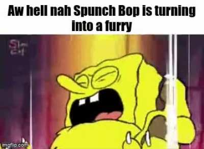 Spunch Bop, NO! 😭
